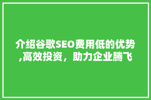 介绍谷歌SEO费用低的优势,高效投资，助力企业腾飞