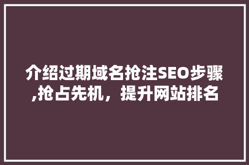 介绍过期域名抢注SEO步骤,抢占先机，提升网站排名  第1张
