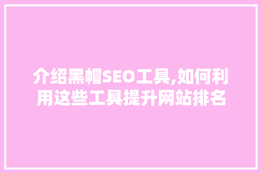 介绍黑帽SEO工具,如何利用这些工具提升网站排名
