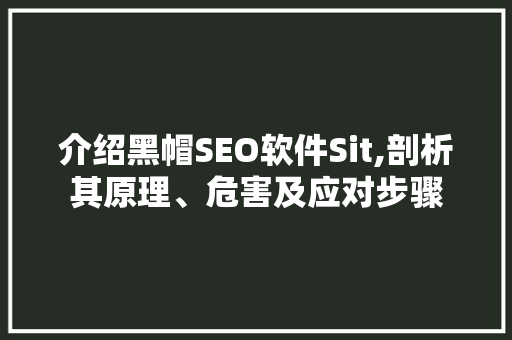 介绍黑帽SEO软件Sit,剖析其原理、危害及应对步骤  第1张