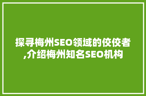 探寻梅州SEO领域的佼佼者,介绍梅州知名SEO机构