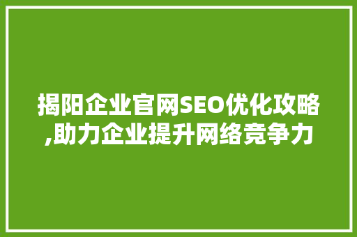揭阳企业官网SEO优化攻略,助力企业提升网络竞争力