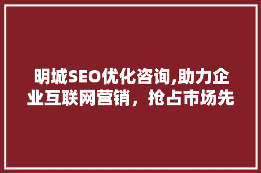 明城SEO优化咨询,助力企业互联网营销，抢占市场先机