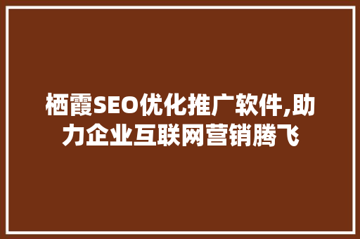 栖霞SEO优化推广软件,助力企业互联网营销腾飞