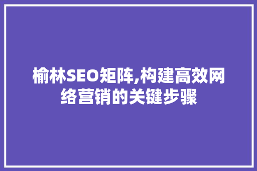 榆林SEO矩阵,构建高效网络营销的关键步骤
