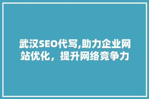 武汉SEO代写,助力企业网站优化，提升网络竞争力