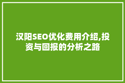 汉阳SEO优化费用介绍,投资与回报的分析之路
