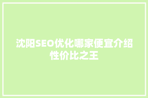 沈阳SEO优化哪家便宜介绍性价比之王
