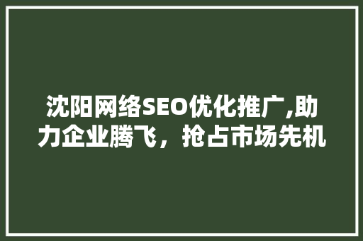 沈阳网络SEO优化推广,助力企业腾飞，抢占市场先机
