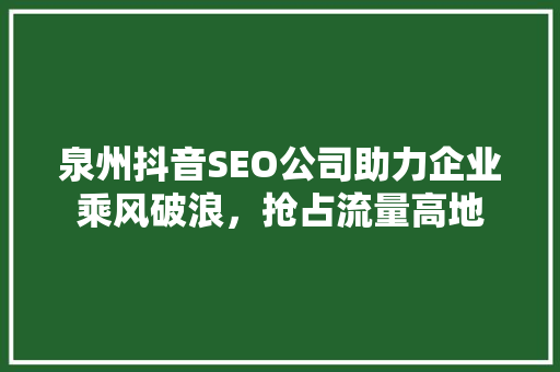 泉州抖音SEO公司助力企业乘风破浪，抢占流量高地