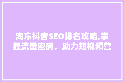 海东抖音SEO排名攻略,掌握流量密码，助力短视频营销新高峰