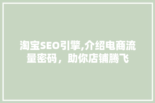淘宝SEO引擎,介绍电商流量密码，助你店铺腾飞