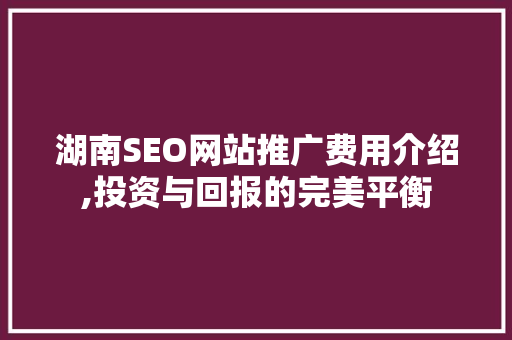 湖南SEO网站推广费用介绍,投资与回报的完美平衡