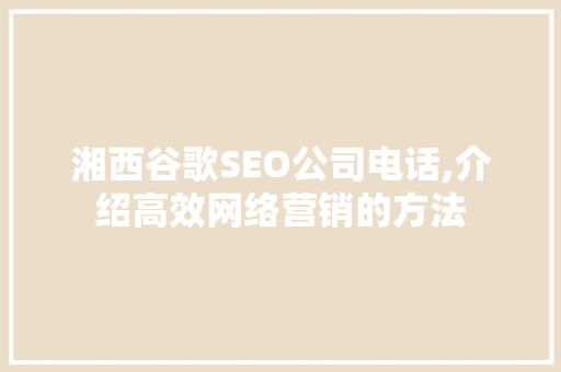 湘西谷歌SEO公司电话,介绍高效网络营销的方法