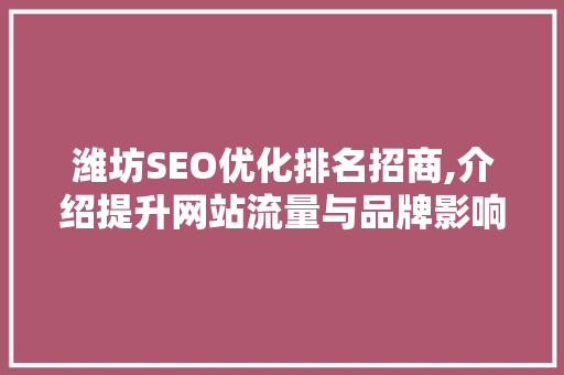 潍坊SEO优化排名招商,介绍提升网站流量与品牌影响力的秘密武器