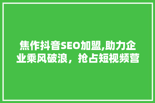 焦作抖音SEO加盟,助力企业乘风破浪，抢占短视频营销制高点