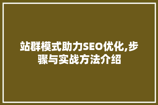 站群模式助力SEO优化,步骤与实战方法介绍