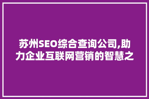 苏州SEO综合查询公司,助力企业互联网营销的智慧之选