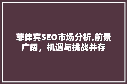 菲律宾SEO市场分析,前景广阔，机遇与挑战并存