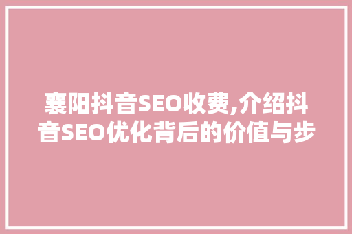 襄阳抖音SEO收费,介绍抖音SEO优化背后的价值与步骤
