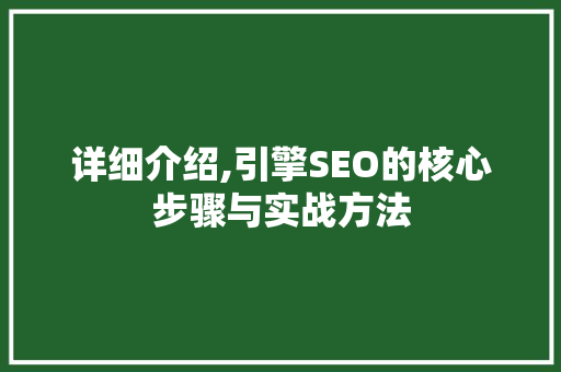 详细介绍,引擎SEO的核心步骤与实战方法  第1张