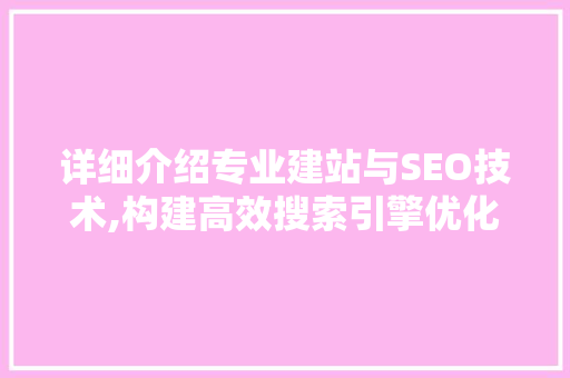 详细介绍专业建站与SEO技术,构建高效搜索引擎优化网站
