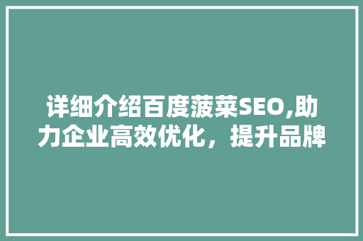 详细介绍百度菠菜SEO,助力企业高效优化，提升品牌影响力