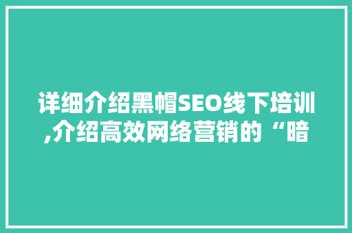 详细介绍黑帽SEO线下培训,介绍高效网络营销的“暗黑”法则