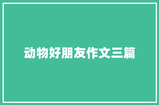 贵州SEO优化,哪家便宜介绍性价比之选