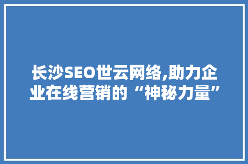 长沙SEO世云网络,助力企业在线营销的“神秘力量”