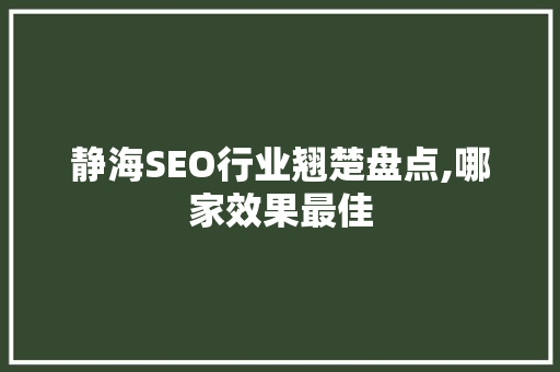 静海SEO行业翘楚盘点,哪家效果最佳  第1张