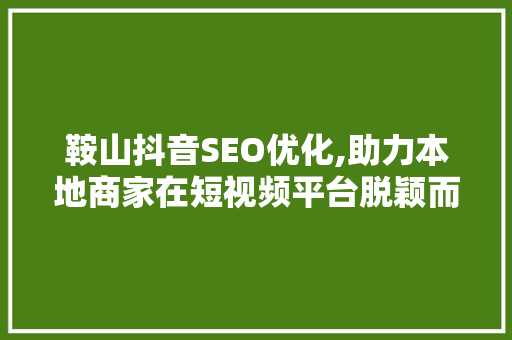 鞍山抖音SEO优化,助力本地商家在短视频平台脱颖而出