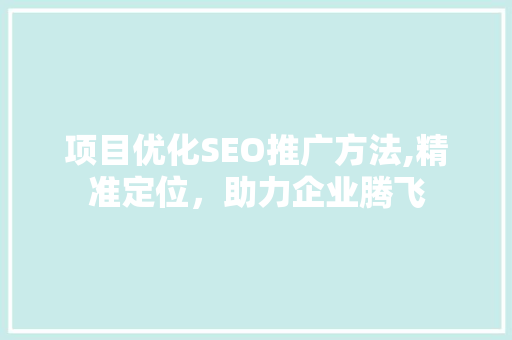 项目优化SEO推广方法,精准定位，助力企业腾飞