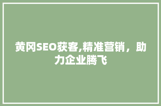 黄冈SEO获客,精准营销，助力企业腾飞