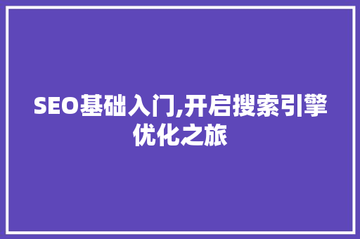 SEO基础入门,开启搜索引擎优化之旅