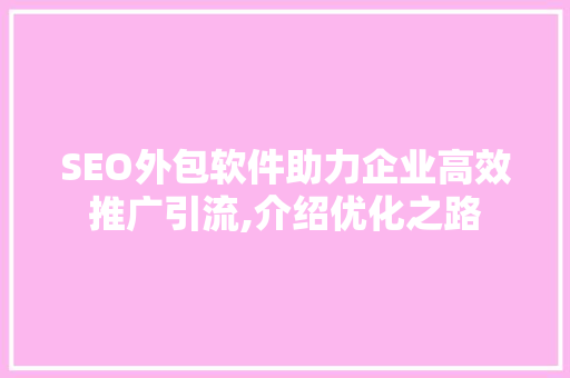 SEO外包软件助力企业高效推广引流,介绍优化之路