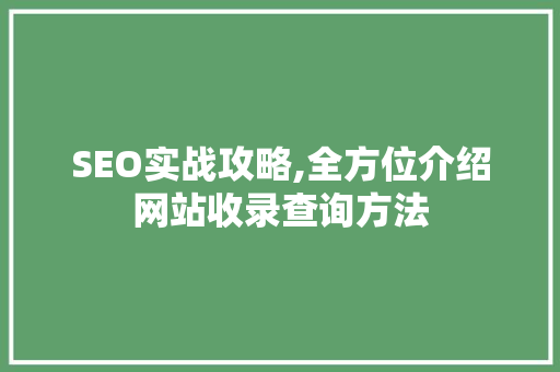 SEO实战攻略,全方位介绍网站收录查询方法
