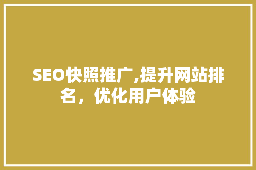 SEO快照推广,提升网站排名，优化用户体验