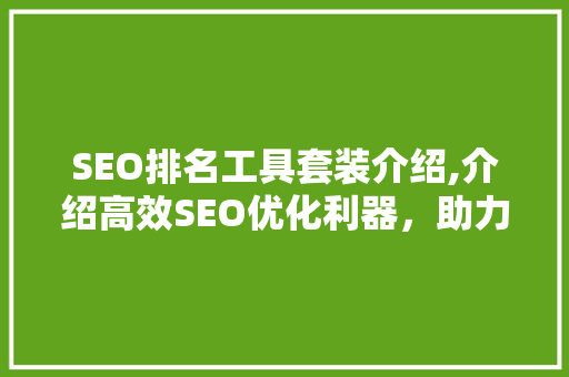 SEO排名工具套装介绍,介绍高效SEO优化利器，助力企业抢占搜索引擎高地
