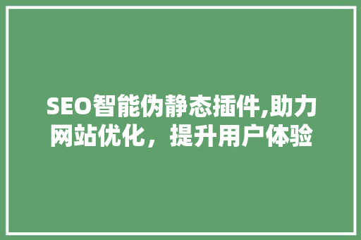 SEO智能伪静态插件,助力网站优化，提升用户体验