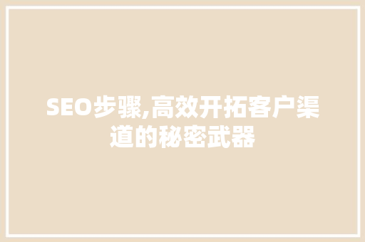 SEO步骤,高效开拓客户渠道的秘密武器