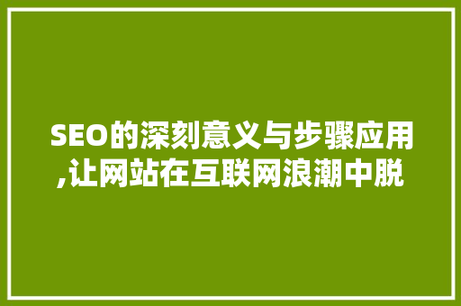 SEO的深刻意义与步骤应用,让网站在互联网浪潮中脱颖而出