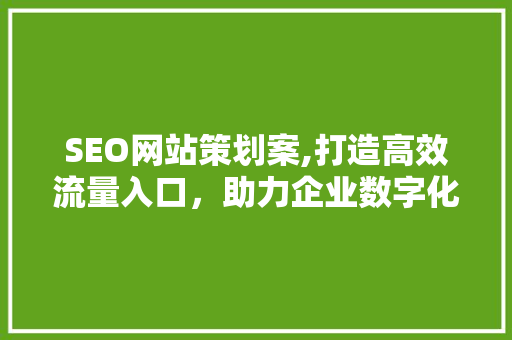 SEO网站策划案,打造高效流量入口，助力企业数字化转型