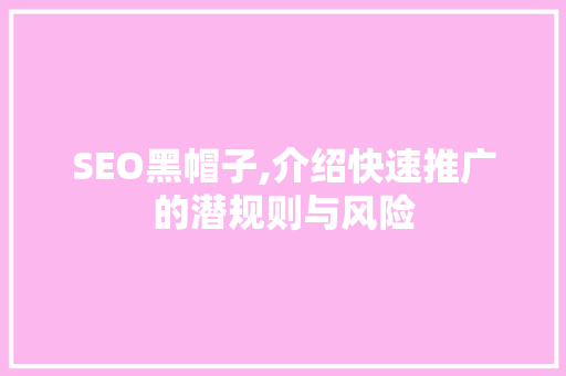 SEO黑帽子,介绍快速推广的潜规则与风险  第1张