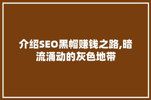 介绍SEO黑帽赚钱之路,暗流涌动的灰色地带