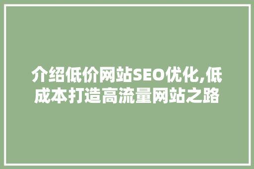 介绍低价网站SEO优化,低成本打造高流量网站之路