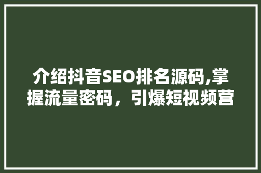 介绍抖音SEO排名源码,掌握流量密码，引爆短视频营销