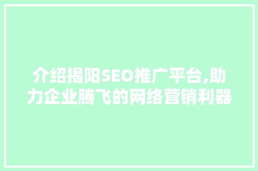 介绍揭阳SEO推广平台,助力企业腾飞的网络营销利器