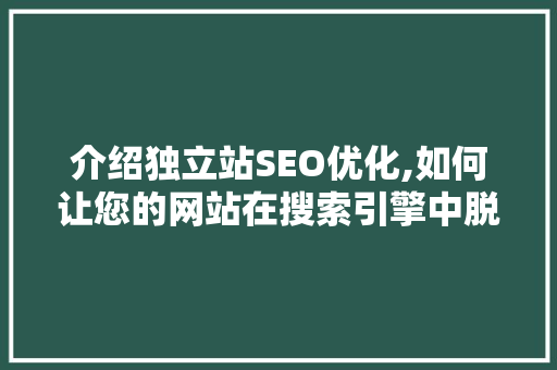 介绍独立站SEO优化,如何让您的网站在搜索引擎中脱颖而出