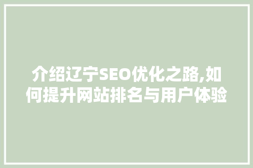 介绍辽宁SEO优化之路,如何提升网站排名与用户体验